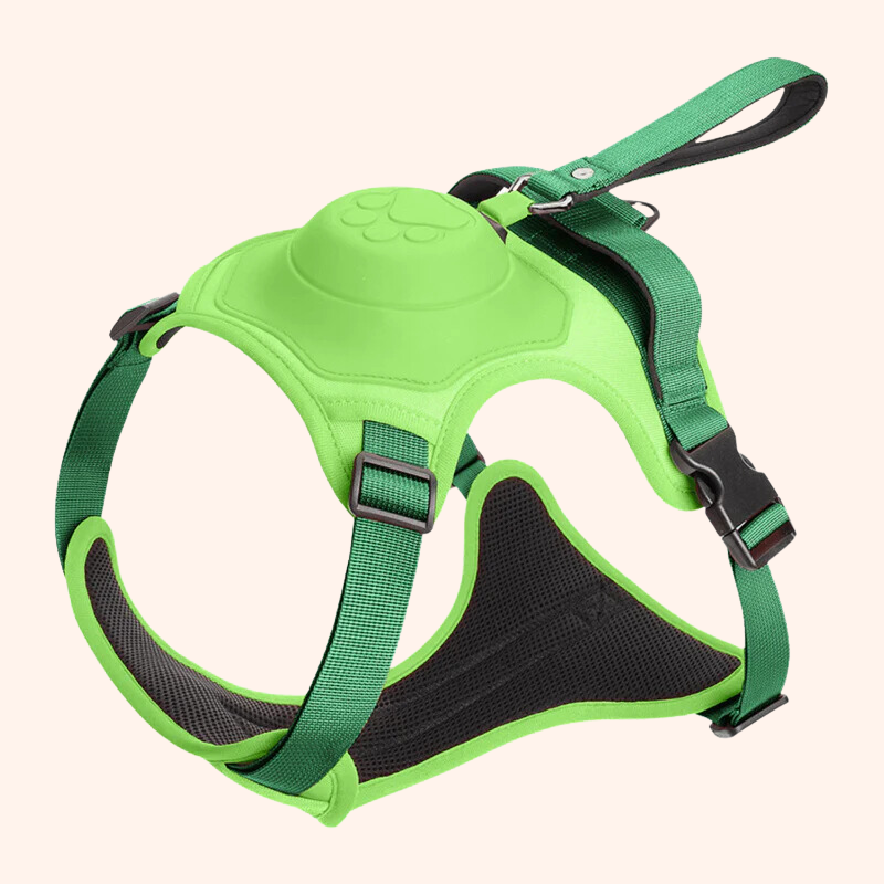 All in one Dog Harness and Leash Set