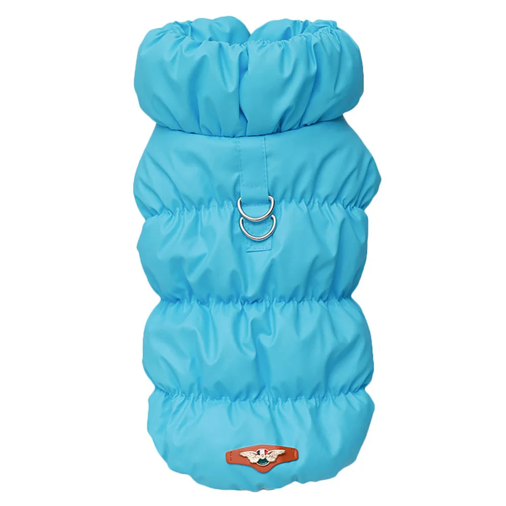 Cozy & Cute: Winter Warmth for Every Pup