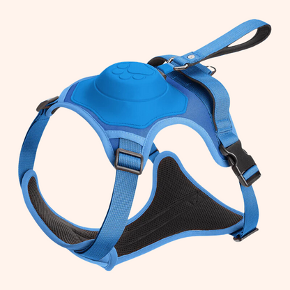 All in one Dog Harness and Leash Set