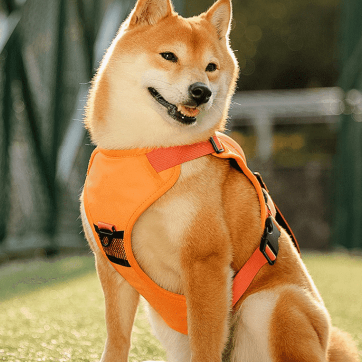 All in one Dog Harness and Leash Set