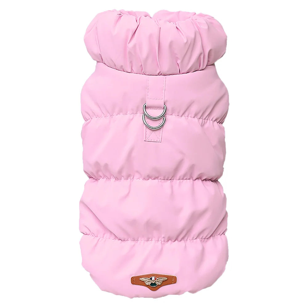 Cozy & Cute: Winter Warmth for Every Pup