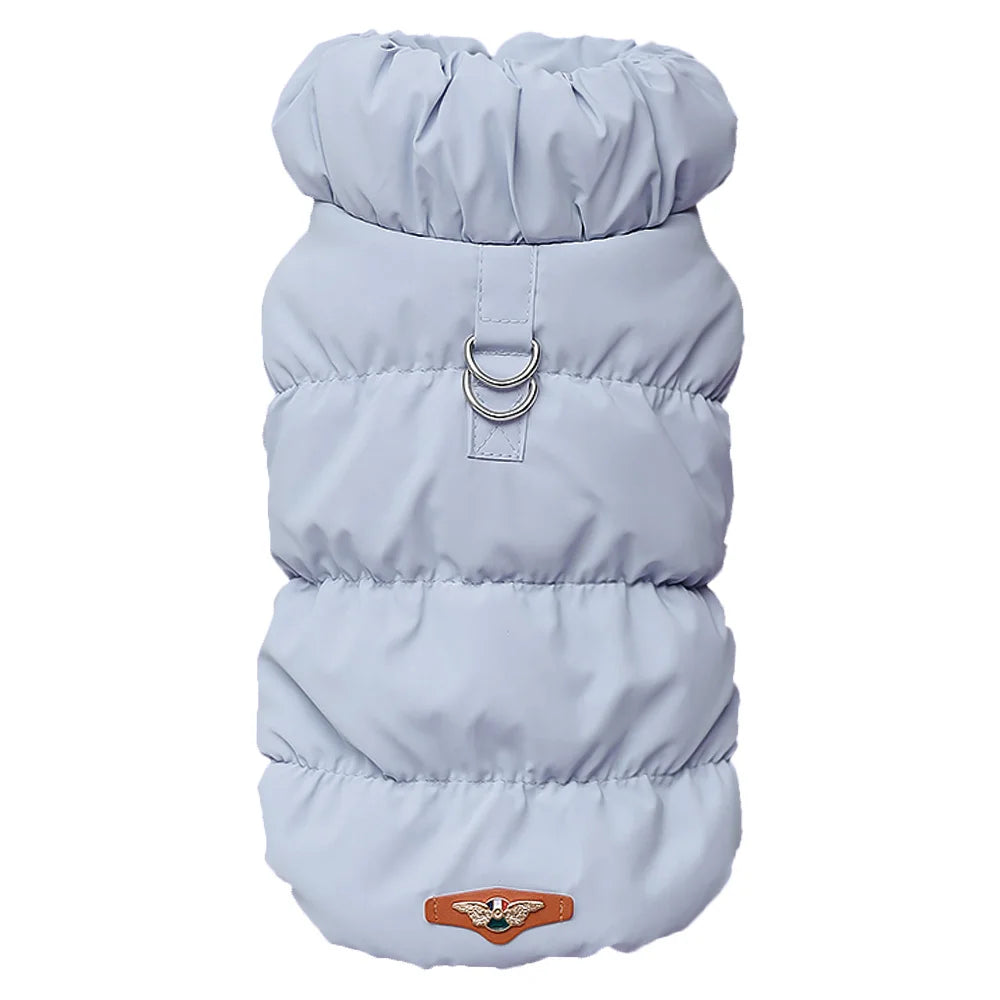 Cozy & Cute: Winter Warmth for Every Pup