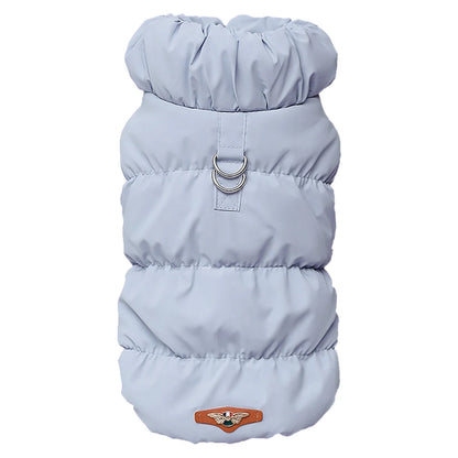 Cozy & Cute: Winter Warmth for Every Pup