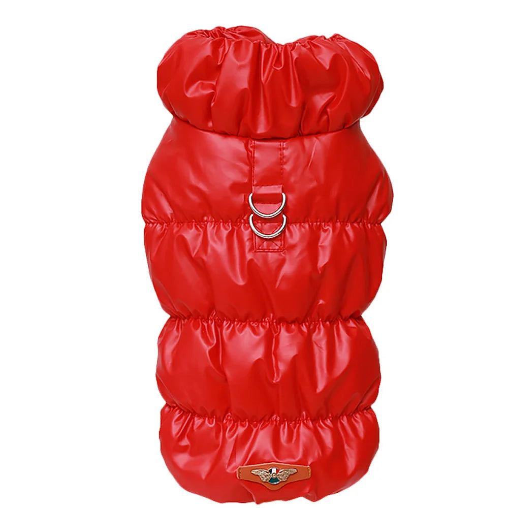 Cozy & Cute: Winter Warmth for Every Pup