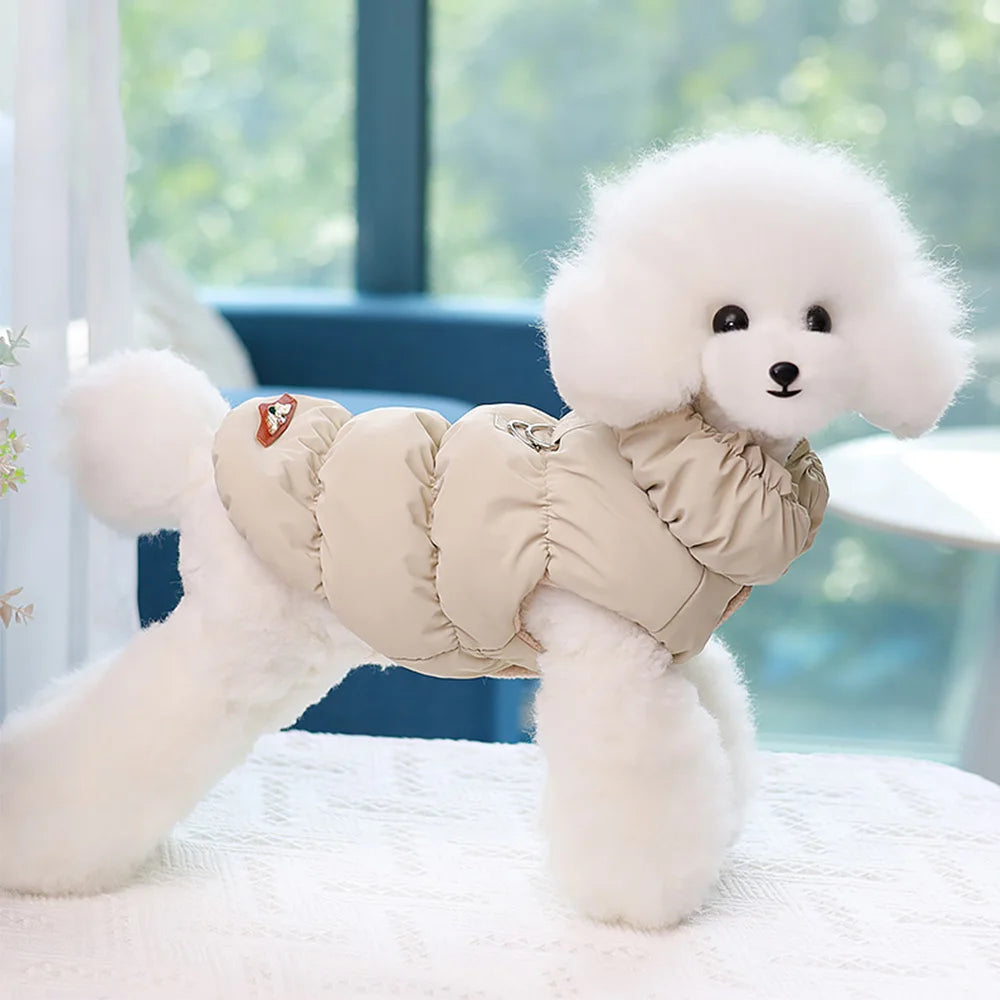 Cozy & Cute: Winter Warmth for Every Pup