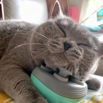 Electric Cat Massager Head Back Scratcher for Relieving Tension