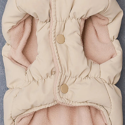 Cozy & Cute: Winter Warmth for Every Pup