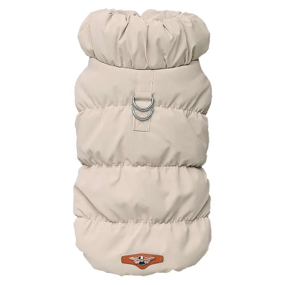 Cozy & Cute: Winter Warmth for Every Pup