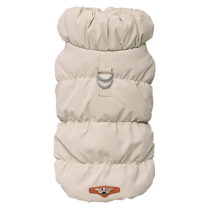 Cozy & Cute: Winter Warmth for Every Pup
