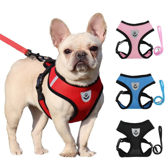Breathable Reflective Cat & Small Dog Harness – Adjustable Summer Vest with Leash