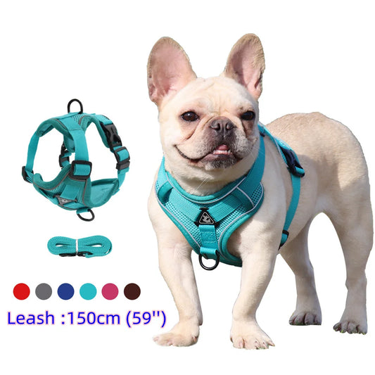 Adjustable Dog Harness & Leash Set – Comfortable Walking Vest for Small & Medium Dogs