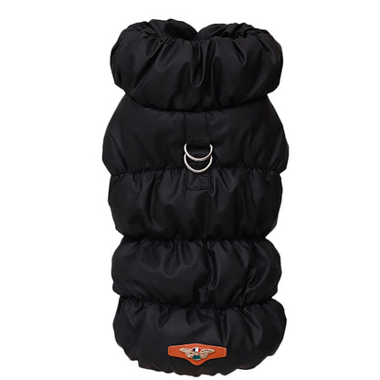 Cozy & Cute: Winter Warmth for Every Pup