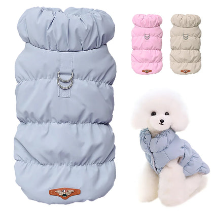 Cozy & Cute: Winter Warmth for Every Pup
