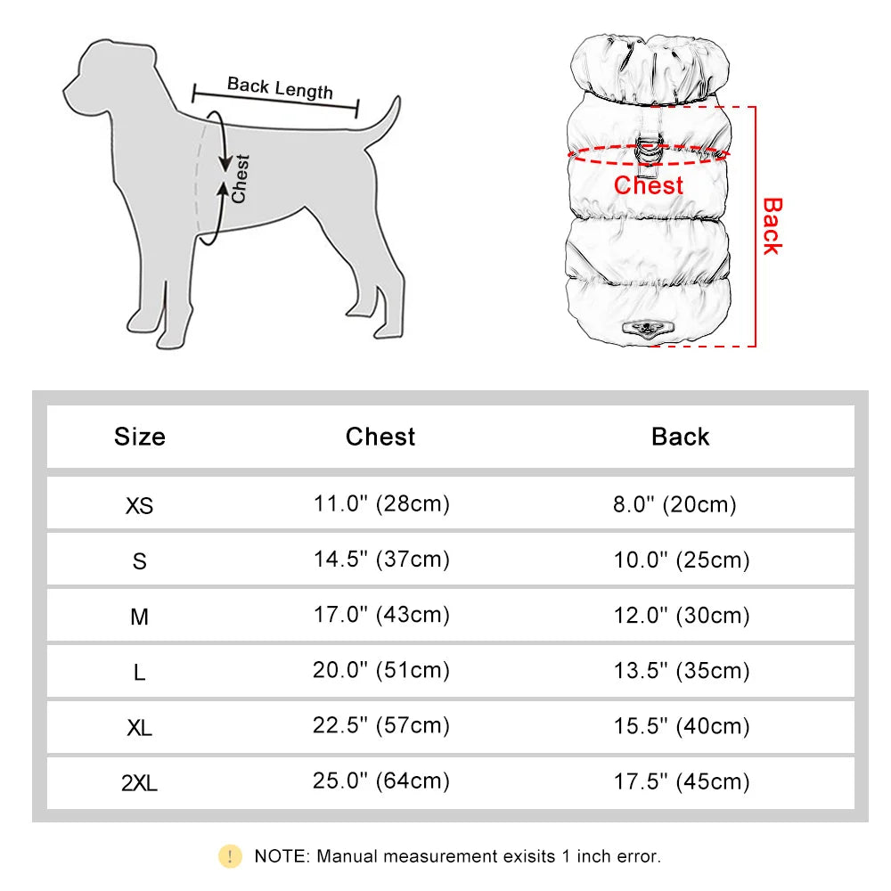 Cozy & Cute: Winter Warmth for Every Pup