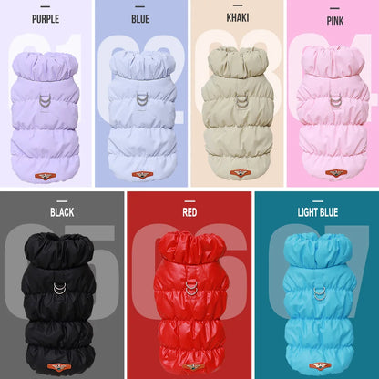 Cozy & Cute: Winter Warmth for Every Pup