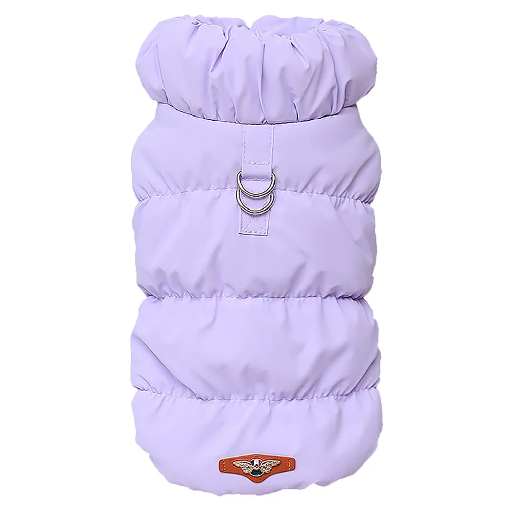 Cozy & Cute: Winter Warmth for Every Pup