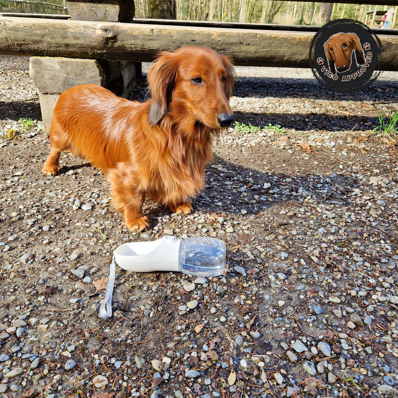 Travel Portable Dog Water Bottle
